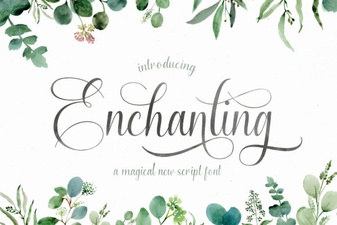 Elevate Your Designs with Elegant Script Fonts
